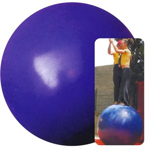 Stability ball 22lbs (10kg)