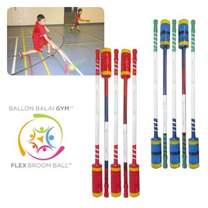 Set of 10 Flex Broom Ball™