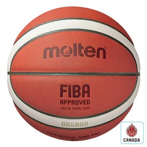 Official TOP GRAIN leather basketball