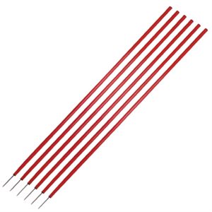 Set of 6 coaching sticks, red