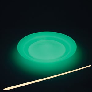Phosphorescent spinning plate