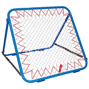 Metal goals official goal of the Canadian Tchoukball Federation