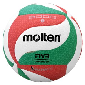 FIVB Competition volleyball